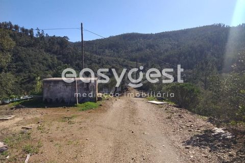 Farm i Monchique, Faro, Monchique - € 539.000 | Ref: AL92055LP - foto 2