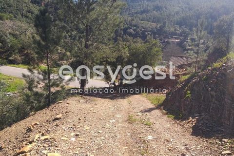 Farm i Monchique, Faro, Monchique - € 539.000 | Ref: AL92055LP - foto 4