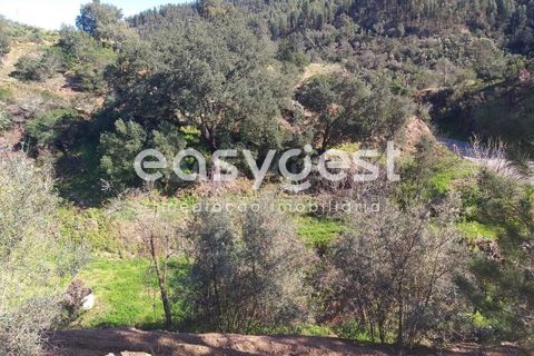 Farm i Monchique, Faro, Monchique - € 539.000 | Ref: AL92055LP - foto 5