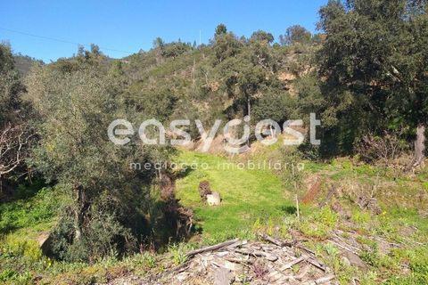 Farm i Monchique, Faro, Monchique - € 539.000 | Ref: AL92055LP - foto 6