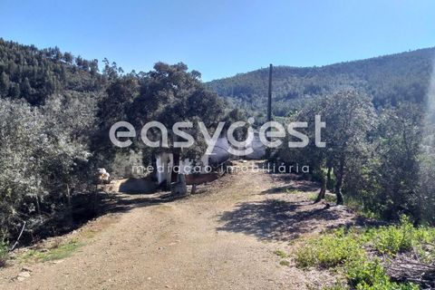 Farm i Monchique, Faro, Monchique - € 539.000 | Ref: AL92055LP - foto 8
