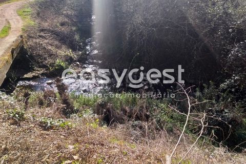 Farm i Monchique, Faro, Monchique - € 539.000 | Ref: AL92055LP - foto 11