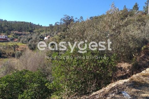 Farm i Monchique, Faro, Monchique - € 539.000 | Ref: AL92055LP - foto 12