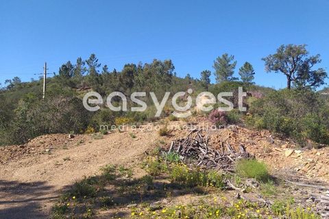 Farm i Monchique, Faro, Monchique - € 539.000 | Ref: AL92055LP - foto 17