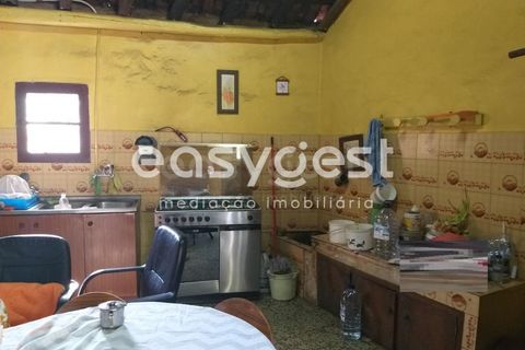 Farm i Monchique, Faro, Monchique - € 539.000 | Ref: AL92055LP - foto 18