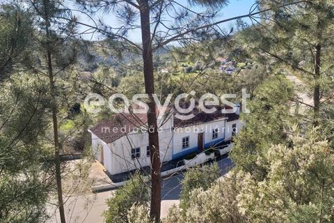 Farm i Monchique, Faro, Monchique - € 539.000 | Ref: AL92055LP - foto 20