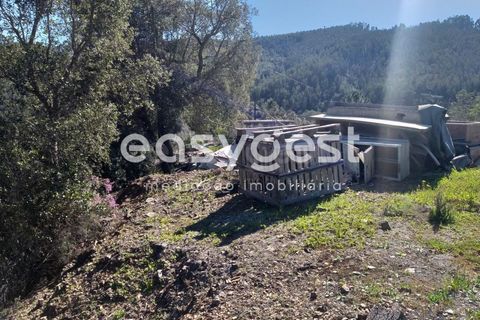 Farm i Monchique, Faro, Monchique - € 539.000 | Ref: AL92055LP - foto 21
