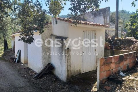 Farm i Monchique, Faro, Monchique - € 539.000 | Ref: AL92055LP - foto 22