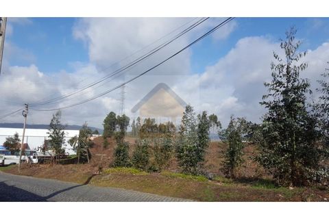 Helårsgrund i Valongo, Porto, Valongo - € 600.000 | Ref: 997 - foto 3