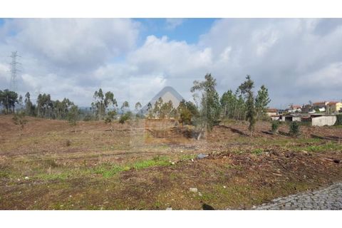 Helårsgrund i Valongo, Porto, Valongo - € 600.000 | Ref: 997 - foto 4