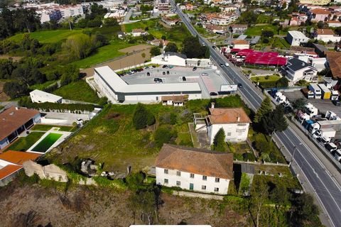 Terra a Mozelos, Aveiro, Mozelos - € 790.000 | Ref: TER_53 - foto 2