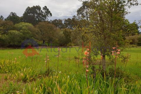 Helårsgrund i Rogil, Faro, Rogil - € 180.000 | Ref: TER_182 - foto 10