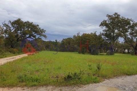 Helårsgrund i Rogil, Faro, Rogil - € 180.000 | Ref: TER_182 - foto 11