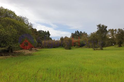 Helårsgrund i Rogil, Faro, Rogil - € 180.000 | Ref: TER_182 - foto 9