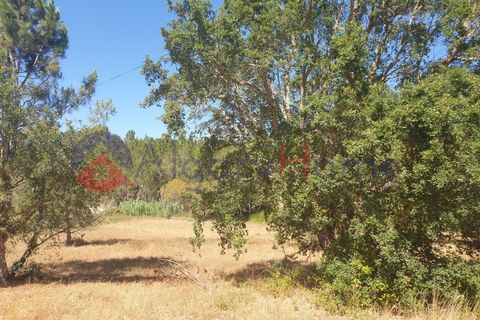 Helårsgrund i Rogil, Faro, Rogil - € 180.000 | Ref: TER_182 - foto 13