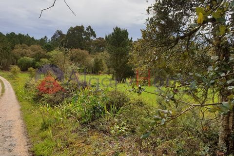 Helårsgrund i Rogil, Faro, Rogil - € 180.000 | Ref: TER_182 - foto 14