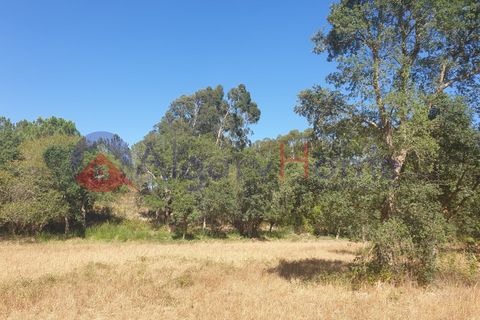 Helårsgrund i Rogil, Faro, Rogil - € 180.000 | Ref: TER_182 - foto 15