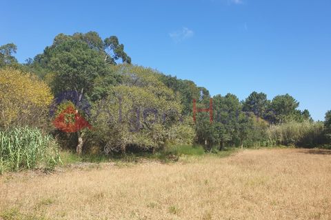 Helårsgrund i Rogil, Faro, Rogil - € 180.000 | Ref: TER_182 - foto 16