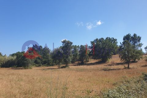 Helårsgrund i Rogil, Faro, Rogil - € 180.000 | Ref: TER_182 - foto 12