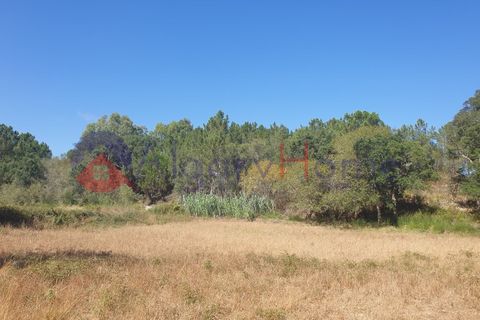 Helårsgrund i Rogil, Faro, Rogil - € 180.000 | Ref: TER_182 - foto 17