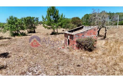 Helårsgrund i Rogil, Faro, Rogil - € 180.000 | Ref: TER_182 - foto 1