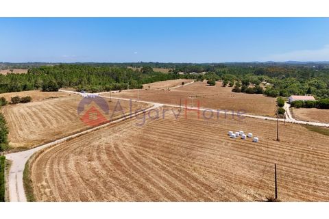 Helårsgrund i Rogil, Faro, Rogil - € 180.000 | Ref: TER_182 - foto 5