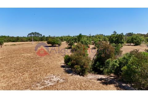 Helårsgrund i Rogil, Faro, Rogil - € 180.000 | Ref: TER_182 - foto 21