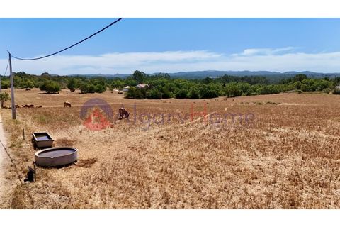 Helårsgrund i Rogil, Faro, Rogil - € 180.000 | Ref: TER_182 - foto 23