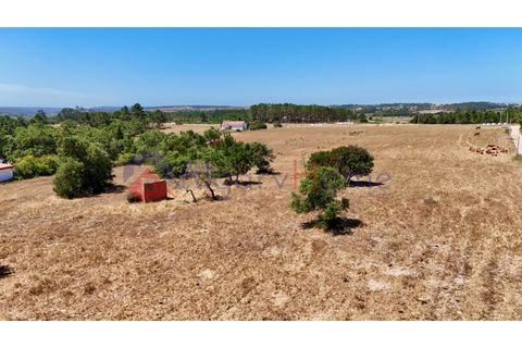 Helårsgrund i Rogil, Faro, Rogil - € 180.000 | Ref: TER_182 - foto 24