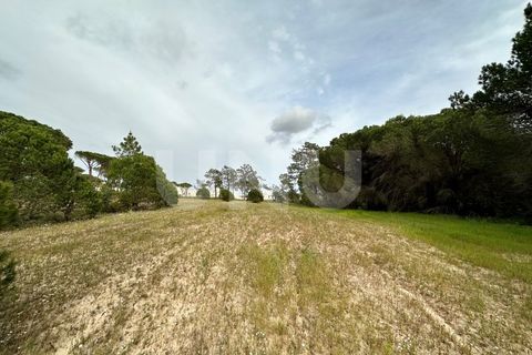 Helårsgrund i Almancil, Faro, Almancil - € 1.200.000 | Ref: UNU.I.1122.20554 - foto 1