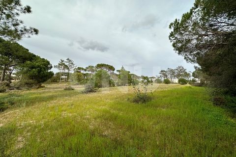 Helårsgrund i Almancil, Faro, Almancil - € 1.200.000 | Ref: UNU.I.1122.20554 - foto 2