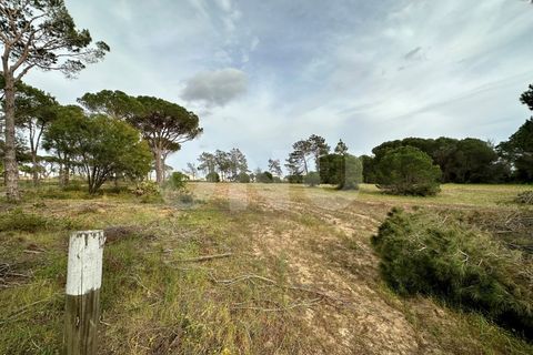 Helårsgrund i Almancil, Faro, Almancil - € 1.200.000 | Ref: UNU.I.1122.20554 - foto 3