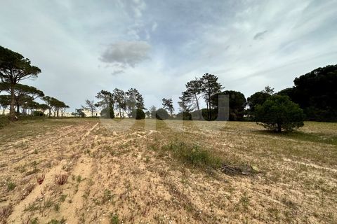 Helårsgrund i Almancil, Faro, Almancil - € 1.200.000 | Ref: UNU.I.1122.20554 - foto 4