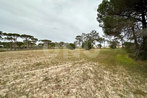 Helårsgrund i Almancil, Faro, Almancil - € 1.200.000 | Ref: UNU.I.1122.20554 - foto 5
