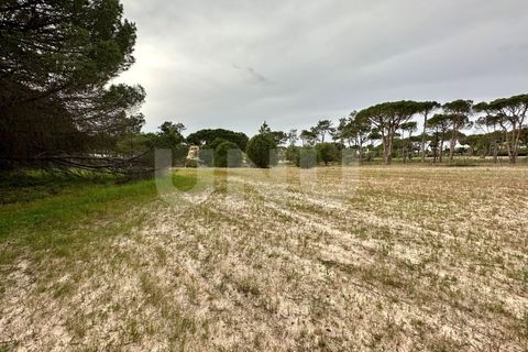 Helårsgrund i Almancil, Faro, Almancil - € 1.200.000 | Ref: UNU.I.1122.20554 - foto 6
