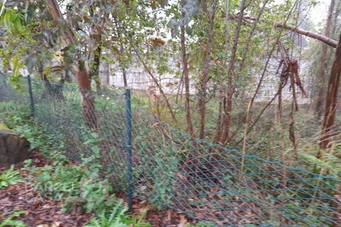 Helårsgrund i Alvito, Beja, Alvito - € 65.000 | Ref: 69/23 - foto 2