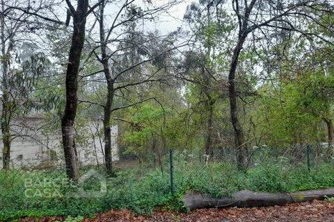 Helårsgrund i Alvito, Beja, Alvito - € 65.000 | Ref: 69/23 - foto 4