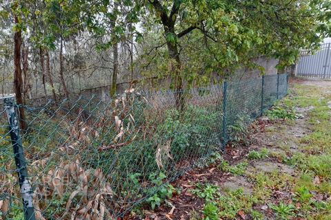 Helårsgrund i Alvito, Beja, Alvito - € 65.000 | Ref: 69/23 - foto 5