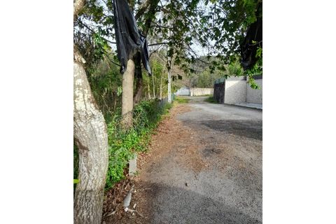 Helårsgrund i Alvito, Beja, Alvito - € 65.000 | Ref: 69/23 - foto 6