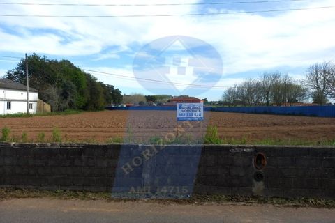 Helårsgrund i Oliveira do Bairro, Aveiro, Oliveira do Bairro - € 60.000 | Ref: TER_1018 - foto 1