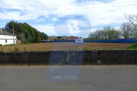 Helårsgrund i Oliveira do Bairro, Aveiro, Oliveira do Bairro - € 60.000 | Ref: TER_1018 - foto 2