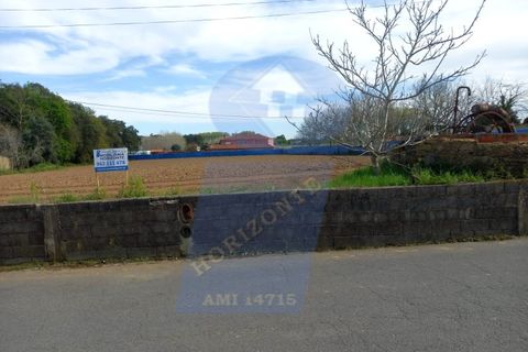 Helårsgrund i Oliveira do Bairro, Aveiro, Oliveira do Bairro - € 60.000 | Ref: TER_1018 - foto 3