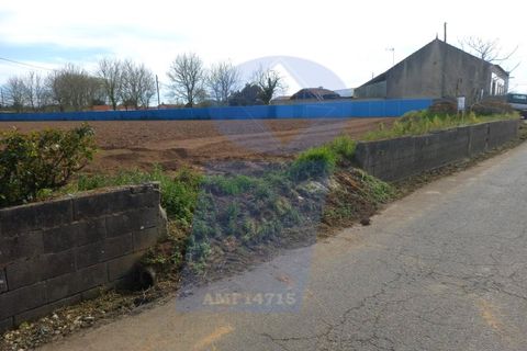 Helårsgrund i Oliveira do Bairro, Aveiro, Oliveira do Bairro - € 60.000 | Ref: TER_1018 - foto 6