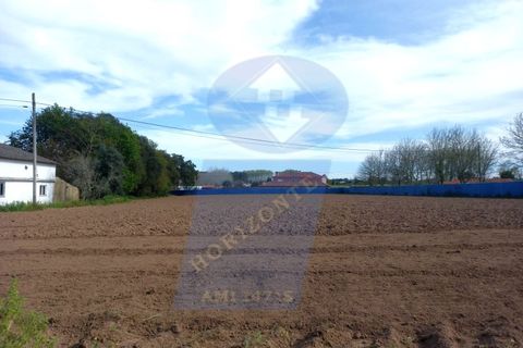 Helårsgrund i Oliveira do Bairro, Aveiro, Oliveira do Bairro - € 60.000 | Ref: TER_1018 - foto 7