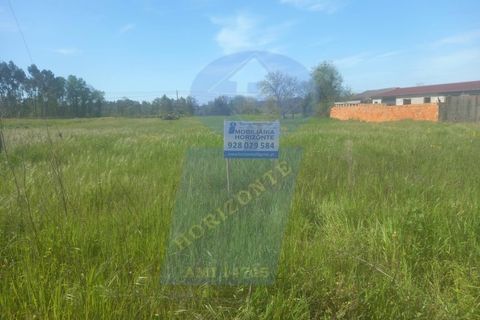 Helårsgrund i Anadia, Aveiro, Anadia - € 50.000 | Ref: TER_1017 - foto 1