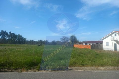 Helårsgrund i Anadia, Aveiro, Anadia - € 50.000 | Ref: TER_1017 - foto 2