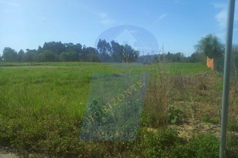 Helårsgrund i Anadia, Aveiro, Anadia - € 50.000 | Ref: TER_1017 - foto 3