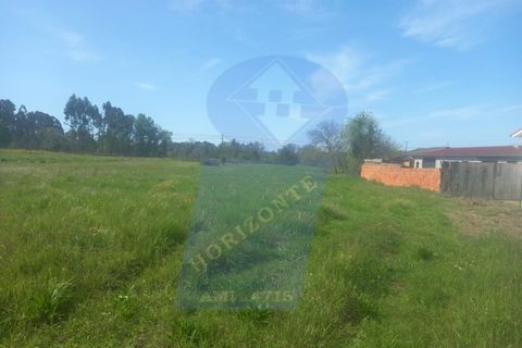Helårsgrund i Anadia, Aveiro, Anadia - € 50.000 | Ref: TER_1017 - foto 4