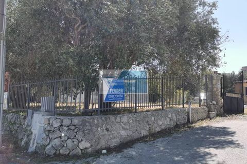 Helårsgrund i Melilli, Siracusa, Melilli - € 120.000 | Ref: PR TCIT 11 - foto 2