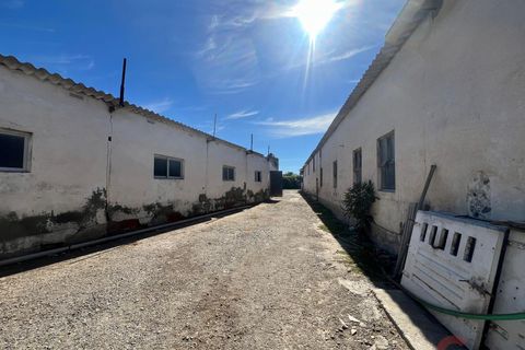 Finca i Motril, Granada, Motril - € 159.000 | Ref: L428 - foto 1